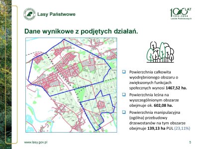 Sceptyk i cudotwórca